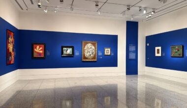 ‘Picasso-Klee-Matisse’ exhibit brings modernist masterpieces to the Museum of Fine Arts, Houston – Houston Public Media