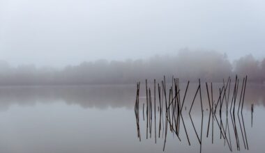 Vanvactor Wins Inaugural Cadiz-Trigg County Photo Contest