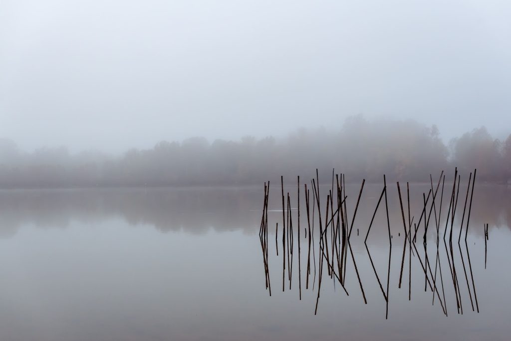 Vanvactor Wins Inaugural Cadiz-Trigg County Photo Contest
