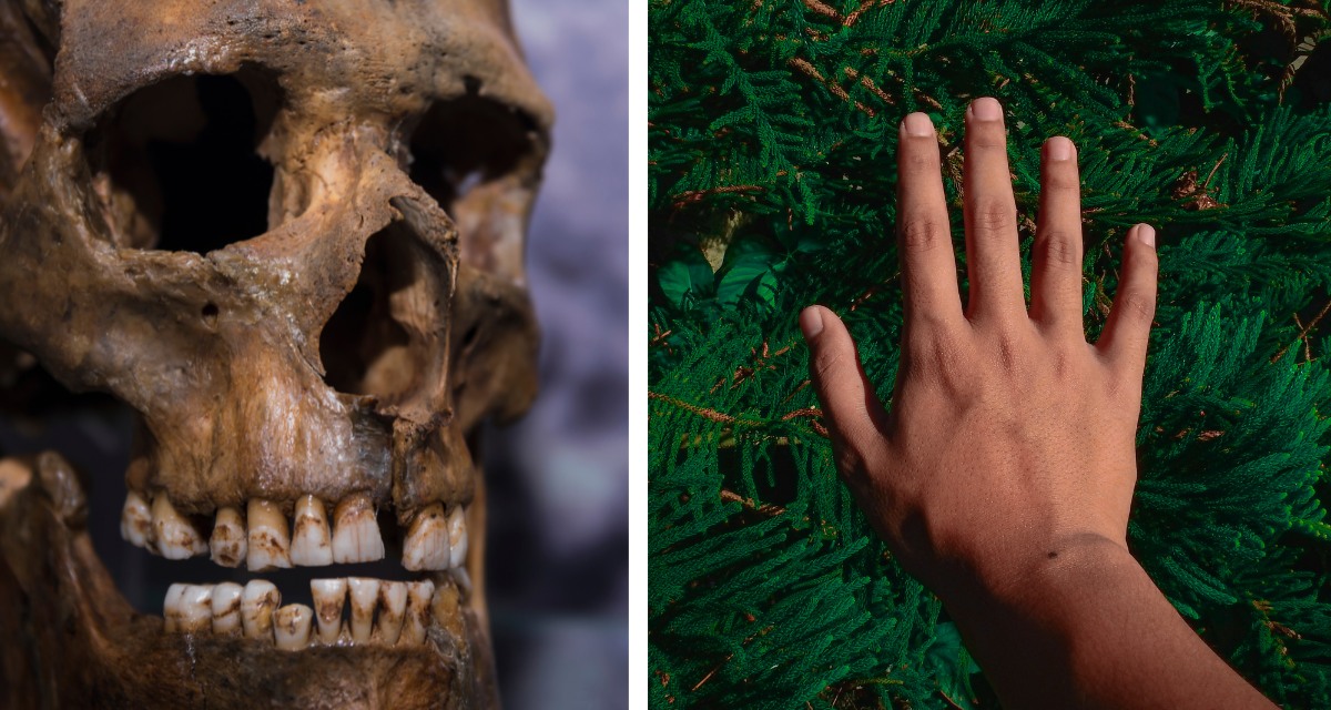 Scientists think humans developed right-handedness thanks to these 2 factors