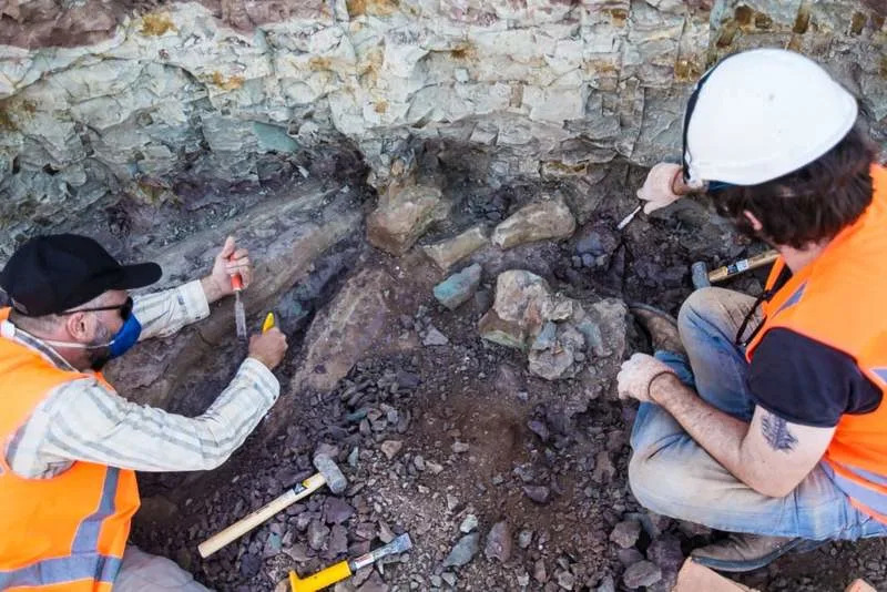 Elver Mayer and a team member excavate around the fossils. (CREDIT: Amai Fotografia)