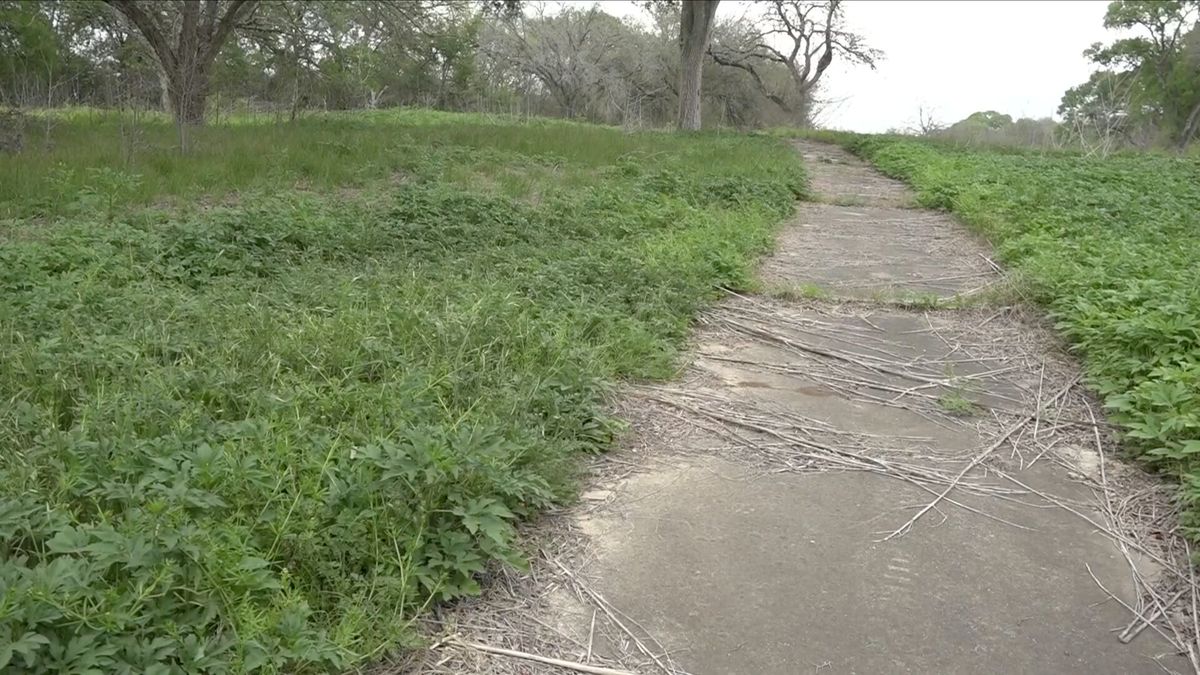 OVERGROWN PECAN VALLEY GOLF COURSE WHICH HELPD THE PGA CHAMPIONSHIP IN 1968