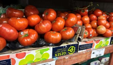 Tomatoes become latest symbol of America’s affordability squeeze :: WRAL.com