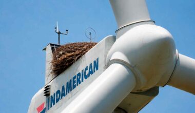 We were told wind farms would drive birds away until prairie chickens ignored the turbines completely and kept building their nests right beside them