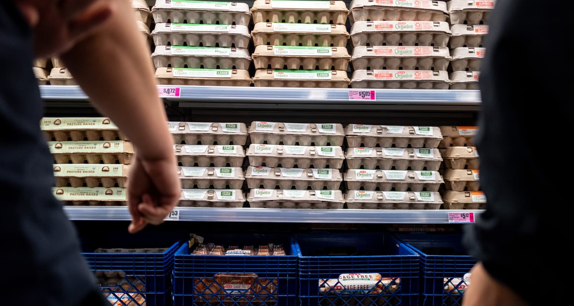 Egg prices fall due to oversupply after bird flu shortages