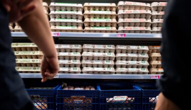 Egg prices fall due to oversupply after bird flu shortages