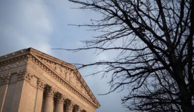 Louisiana urges Supreme Court to leave in place order barring mailing of abortion pill