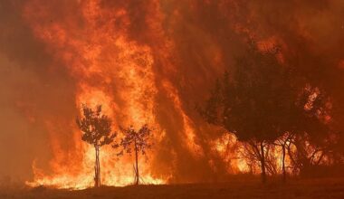 Spain to launch biggest forest fire campaign after record losses last year, Sánchez says