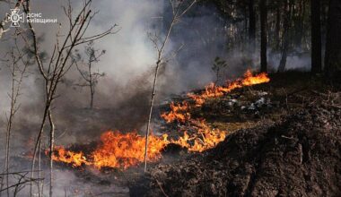 Large forest fire burning in Chernobyl exclusion zone after drone crash, Kyiv says
