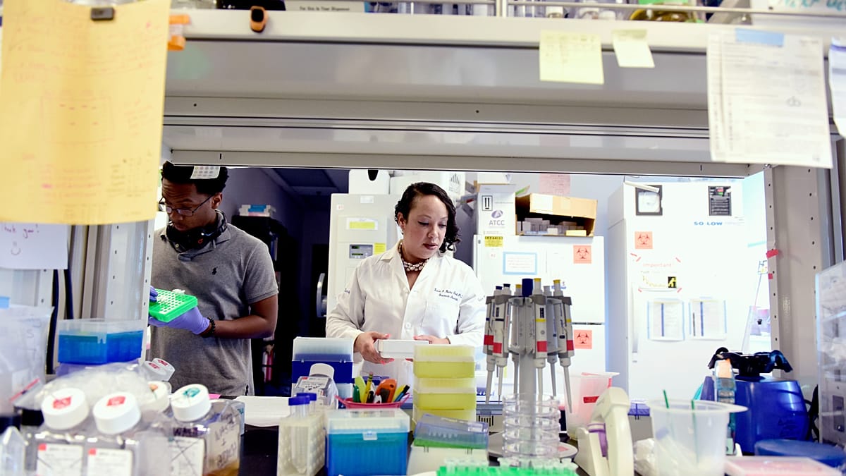 Cancer, oncogenic viruses found in wastewater: 'Possible breakthrough for prevention'