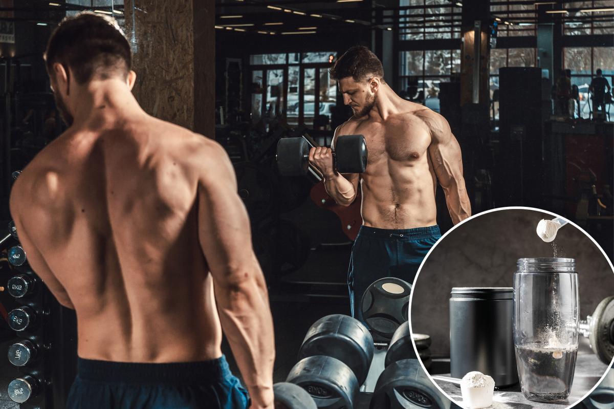 Popular gym supplement benefits depend on 3 major factors
