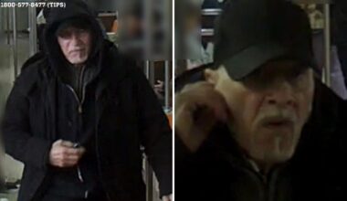 Brian Cox look-a-like flashes gun at much-younger straphanger who felt sick on board NYC train