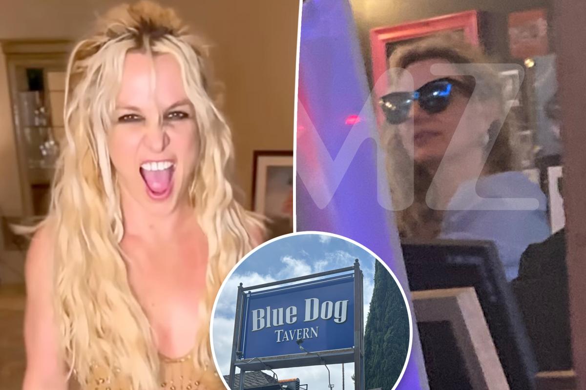 Dinner guest lifts lid on Britney Spears’ erratic ‘outbursts' at LA restaurant
