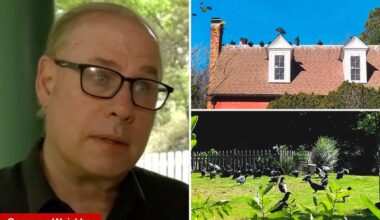 North Carolina couple accused of causing vulture invasion is sued by furious town