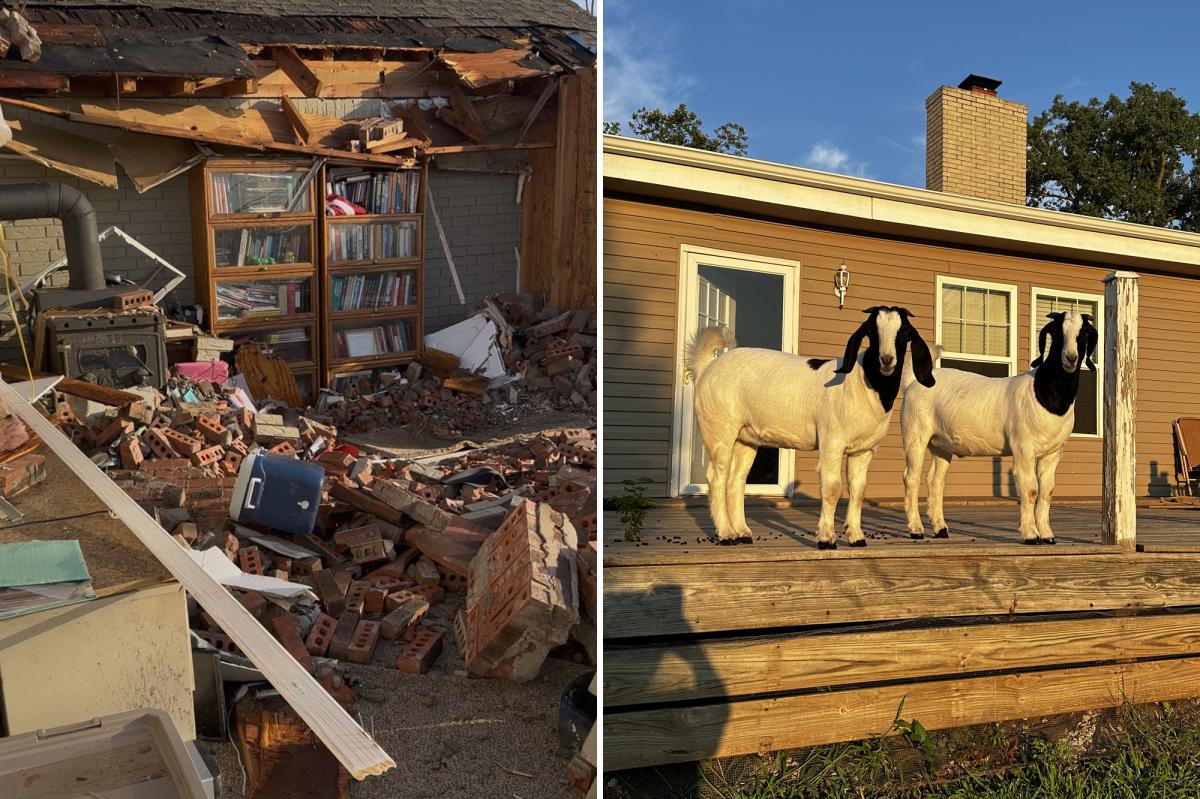 Pet goats save family's lives after killer tornado demolishes their home