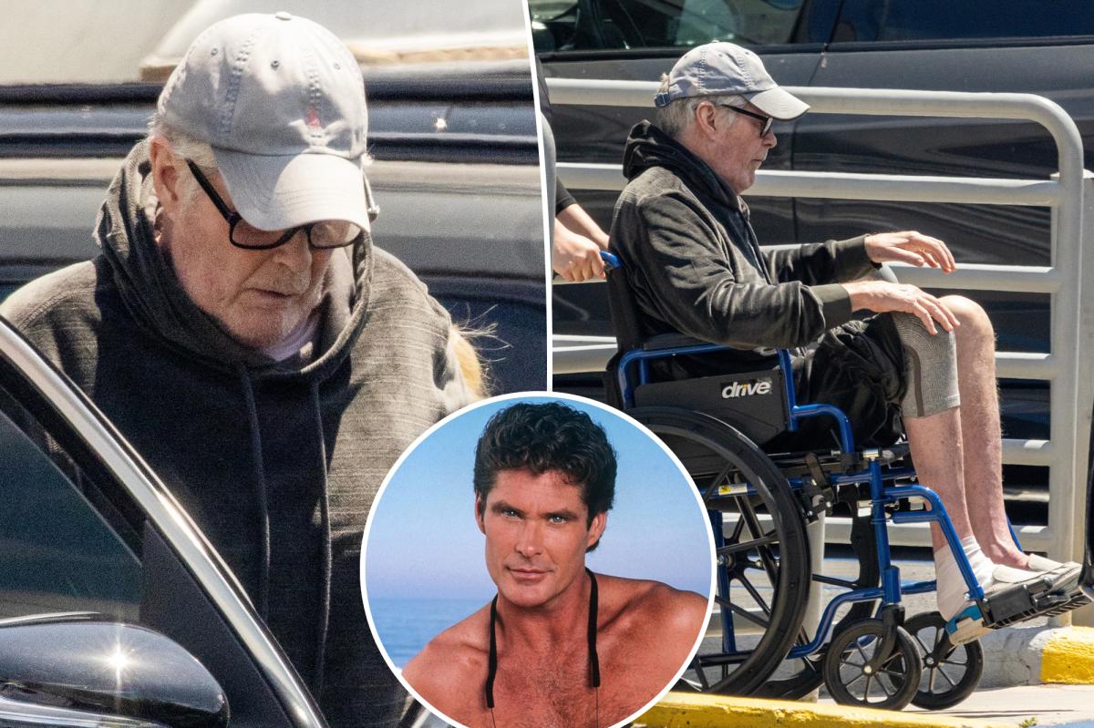 David Hasselhoff sparks concern as he's seen in wheelchair