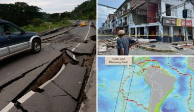 Mysterious fault zones can stop earthquakes in their tracks