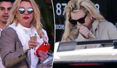 Britney Spears' 911 DUI calls revealed as drivers beg police to help 'erratic' singer