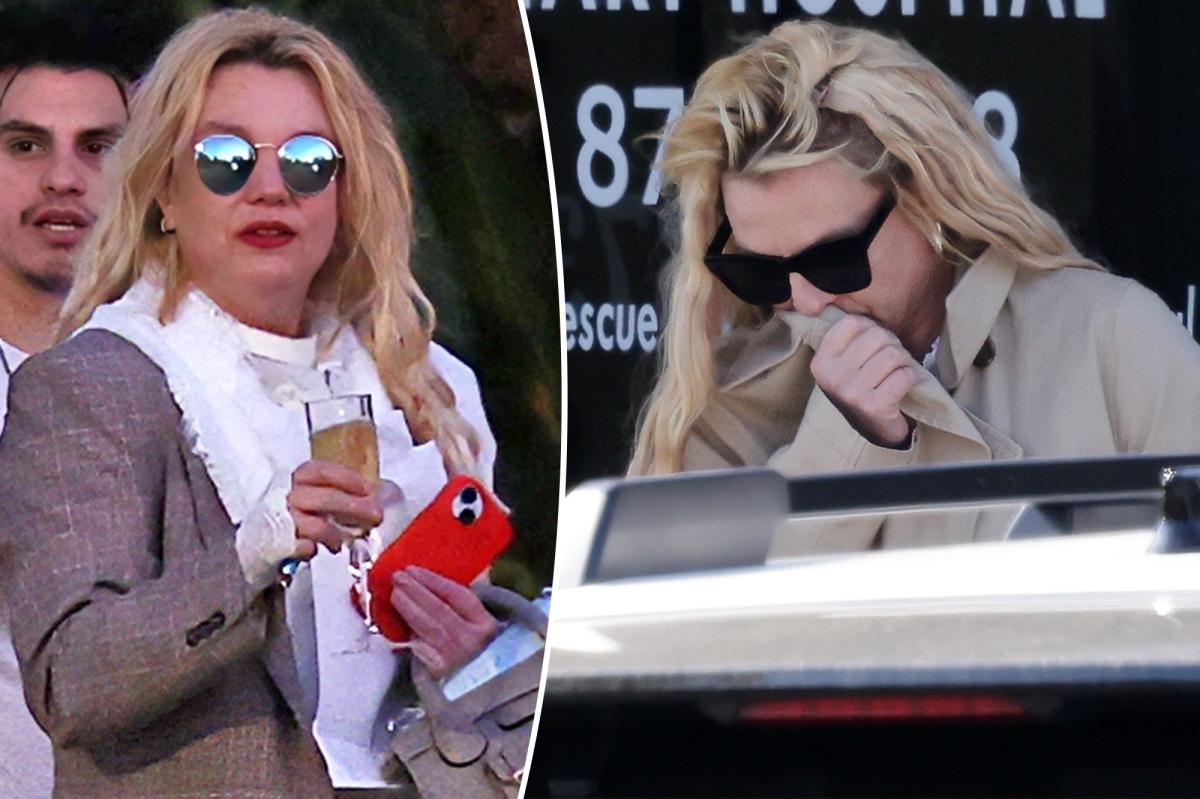 Britney Spears' 911 DUI calls revealed as drivers beg police to help 'erratic' singer