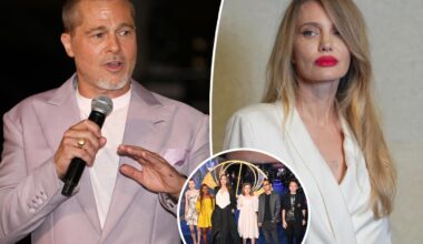 Brad Pitt will never marry again after Angelina Jolie 'alienated' him from their kids following brutal split: report