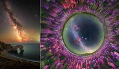 15 Stunning Images From the 2026 Milky Way Photographer of the Year