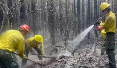 Brantley County schools set to reopen to students Monday after wildfire closures