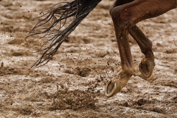 A horse works out on a muddy track at Churchill Downs Wednesday, April 29, 2026, in Louisville, Ky. (AP Photo/Charlie Riedel, File)