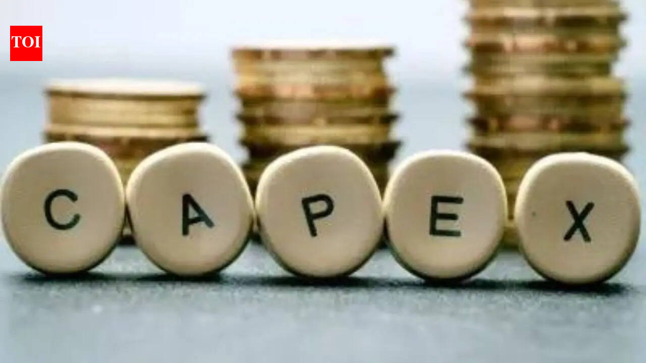 Capital Expenditure: ‘Government to sustain capex despite West Asia crisis’