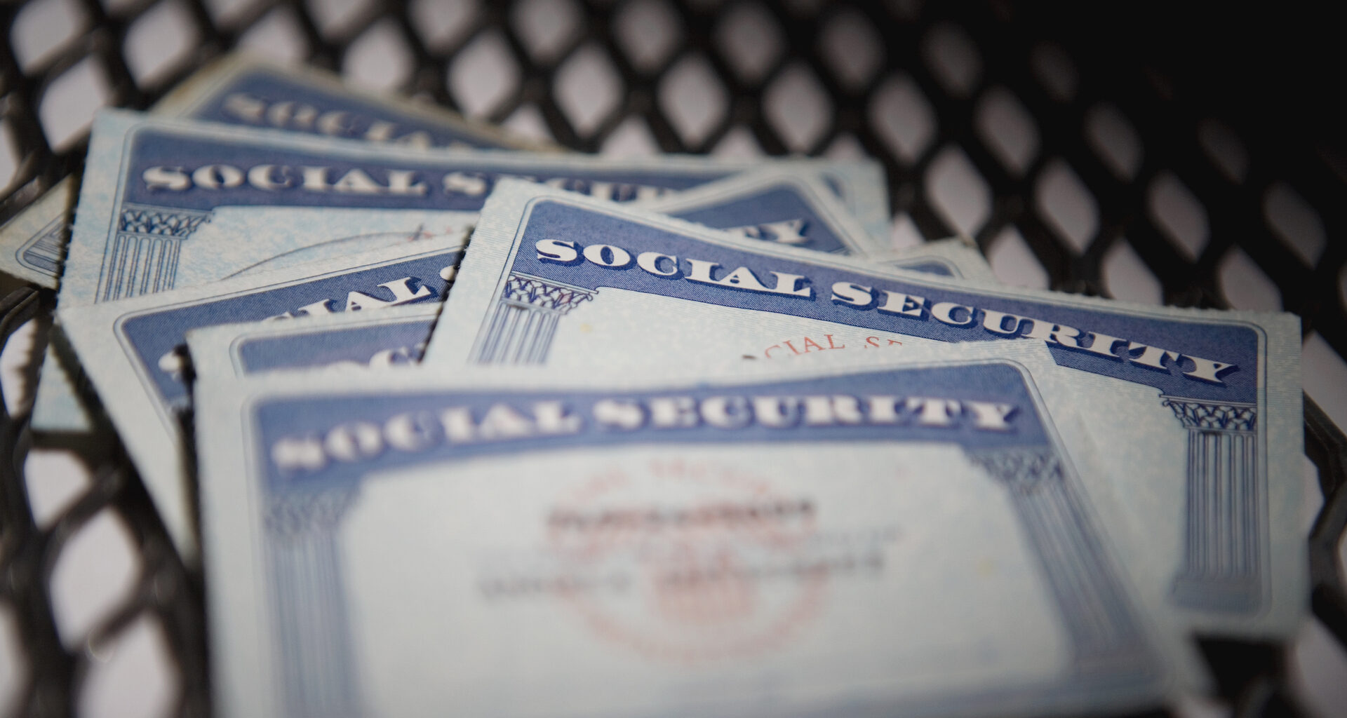 american culture, authority, chain-link fence, close-up, color image, group of objects, ideas, identity, indoors, nobody, photography, protection, safety, security, selective focus, social security card, text, western script, capital letter, horizontal