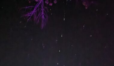 parade of satellites visible tonight