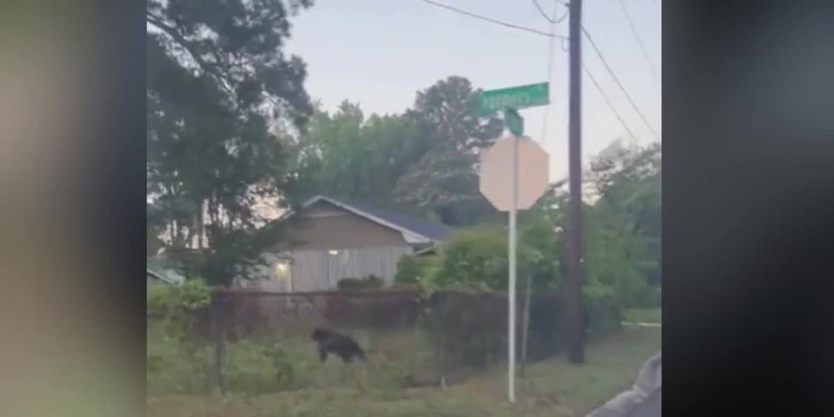 Sightings reported across the region