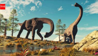 Color Of Dinosaurs: Scientists discover what color dinosaurs actually were