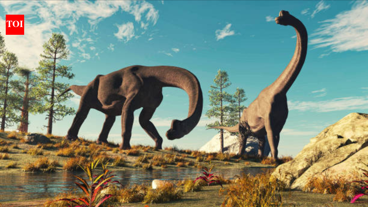 Color Of Dinosaurs: Scientists discover what color dinosaurs actually were