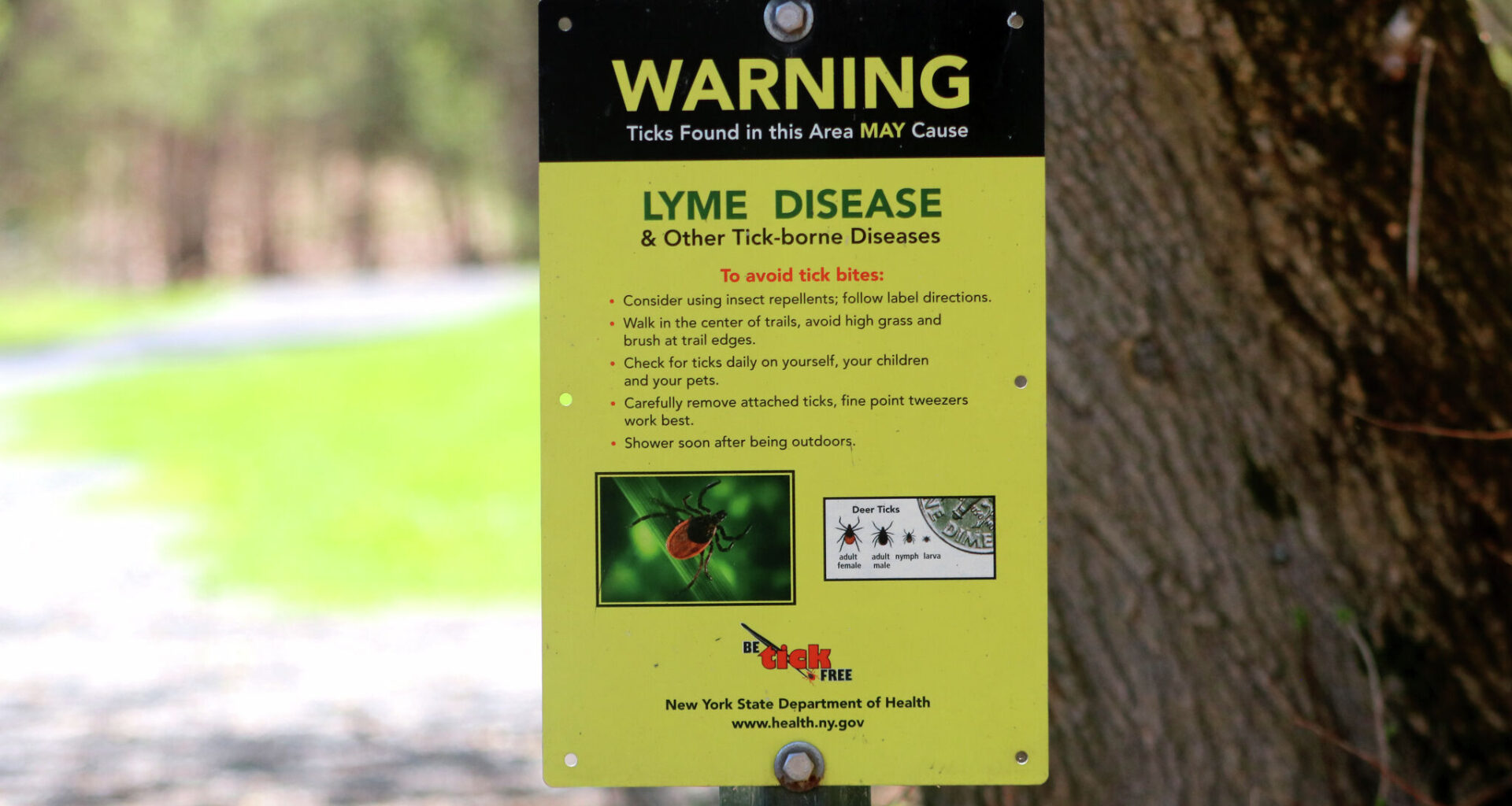 A Lyme disease warning sign is posted in Peebles Island State Park in Waterford in April.