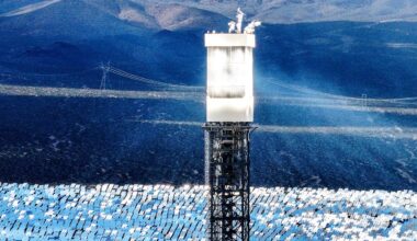 Ivanpah solar plant kills thousands of birds with no fines issued