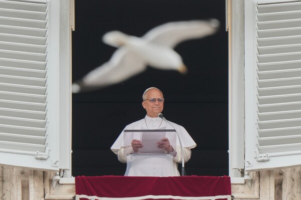 A seagull flies past as Pope Leo XIV recites the Regina Coeli noon prayer from the window of his studio overlooking St. Peter's Square, at the Vatican, Sunday, May 10, 2026. (AP Photo/Andrew Medichini)