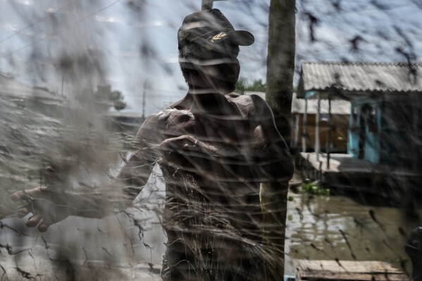 Santander Cueto, a fisherman, removes pieces of an invasive plant from his netting Thursday, April 30, 2026, in Buenavista, Colombia. (AP Photo/Ivan Valencia)