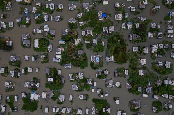 Homes are surrounded by a water hyacinth plant, also known as Eichhornia crassipes, in Nueva Venecia, Colombia, Thursday, April 30, 2026. (AP Photo/Ivan Valencia)