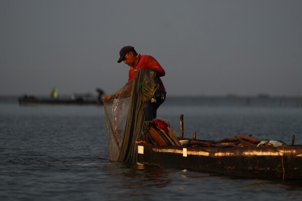 A fisher throws his net Thursday, April 30, 2026, on the outskirts of Cienaga Grande de Santa Marta, Colombia. (AP Photo/Ivan Valencia)