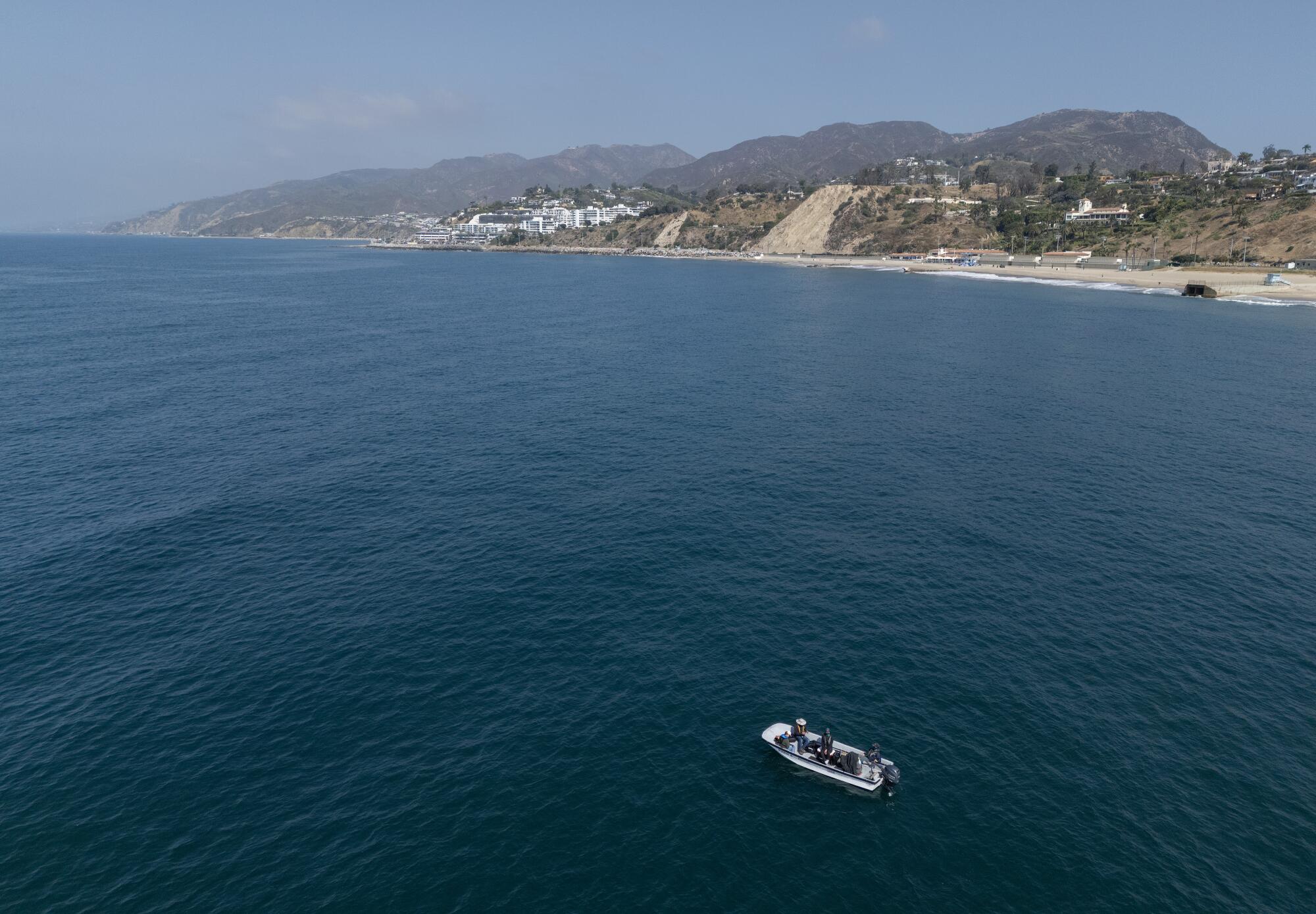 Researchers with the Cal State Long Beach Shark Lab look for sharks to tag off the coast of Will Rogers State Beach.