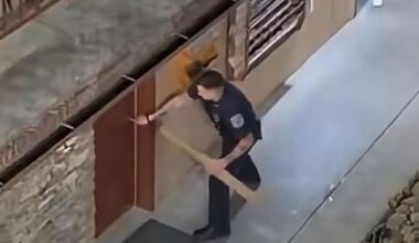 Have You Seen This? Officers free black bear locked in hotel bathroom