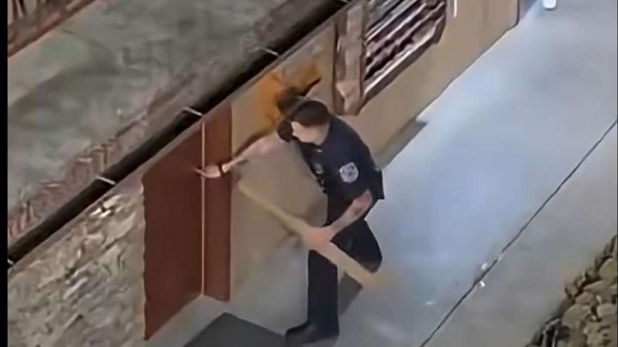 Have You Seen This? Officers free black bear locked in hotel bathroom