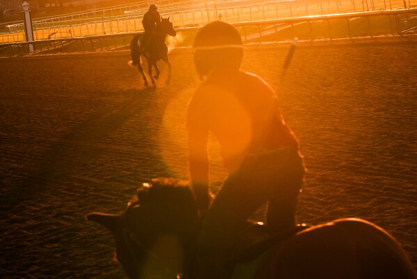 Horses work out at Laurel Park during sunrise, Friday, May 8, 2026, in Laurel, Md. (AP Photo/Julia Demaree Nikhinson)