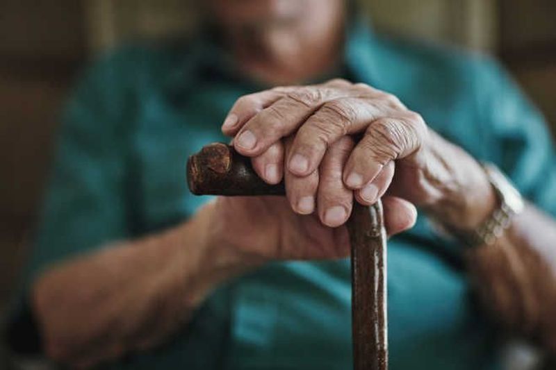 Over 40 booked for providing false documents to get old age pension in Shimla district