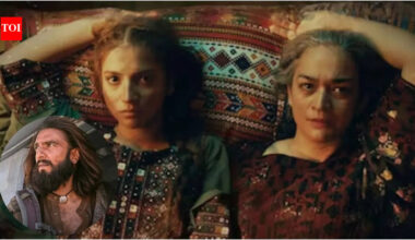 'Mera Lyari': Pakistan's answer to Ranveer Singh’s 'Dhurandhar' sells only 22 tickets on opening day, pulled from theatres