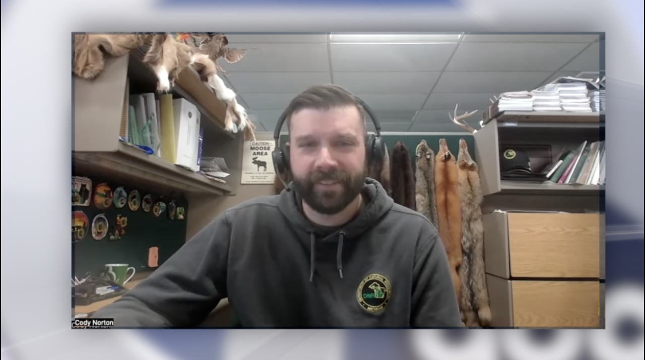 Cody_Norton_Michigan_DNR_Bear_specialist.png