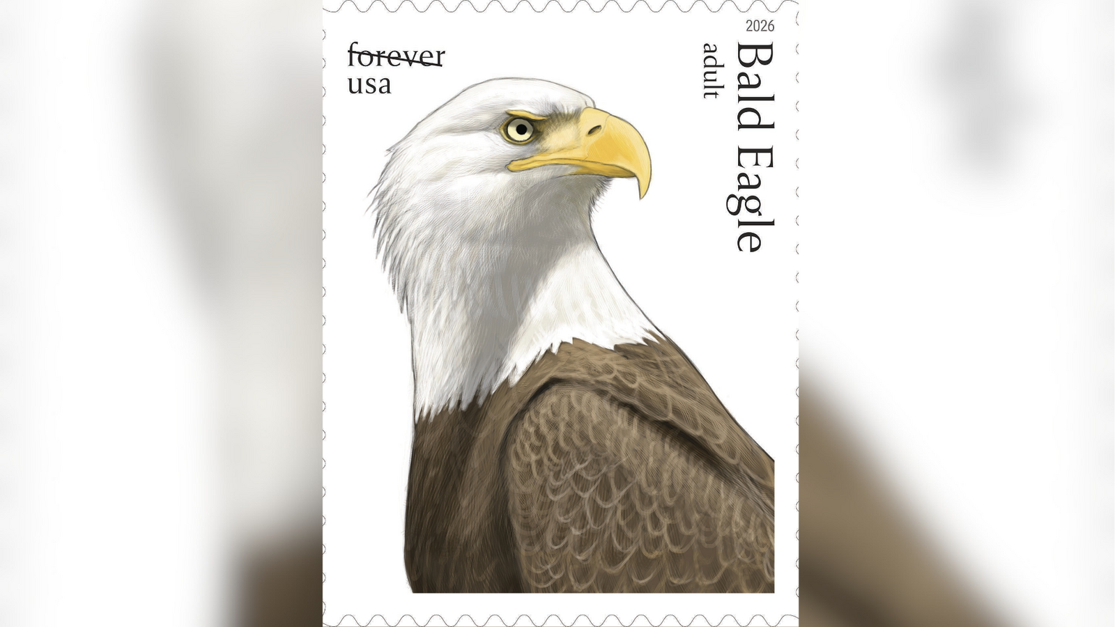Postal Service releases special edition bald eagle stamps for America's 250th