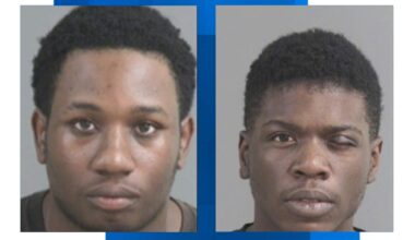 2 adults, juvenile arrested after alleged vehicle break-ins in North Charleston