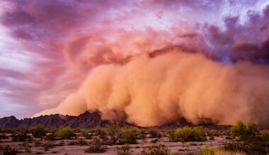 Videos Show Towering Dust Storm As Highway Closed: ‘Massive’ 