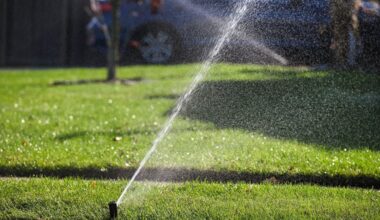 Drought warning for Long Island due to lack of rain